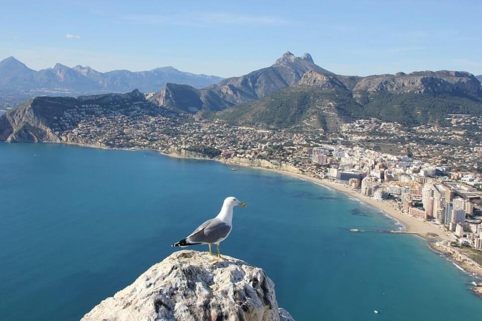 Apartamento Arenal 3 - Plusholidays Calpe Zewnętrze zdjęcie